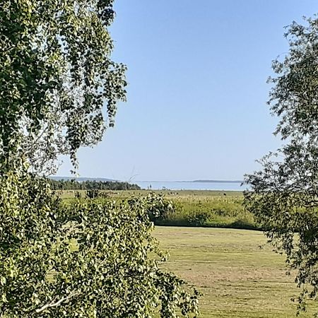 Tuule Villa Kuressaare Exteriör bild